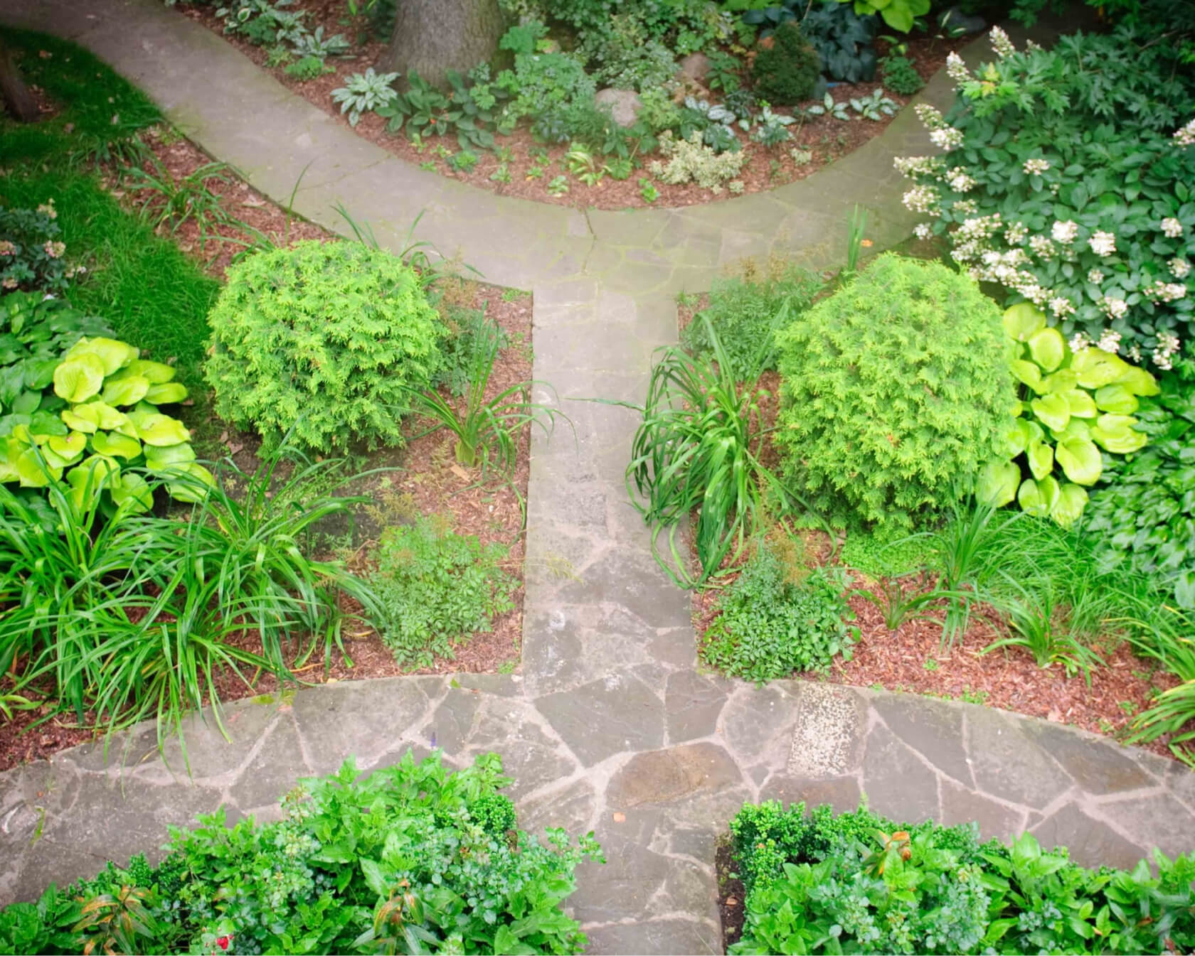 Проект Баковка